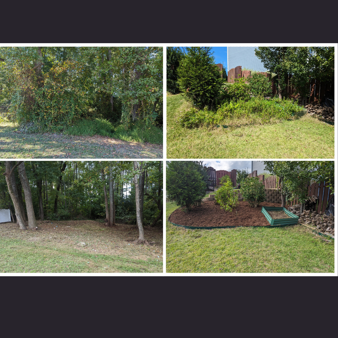 Backyard landscaping before and after